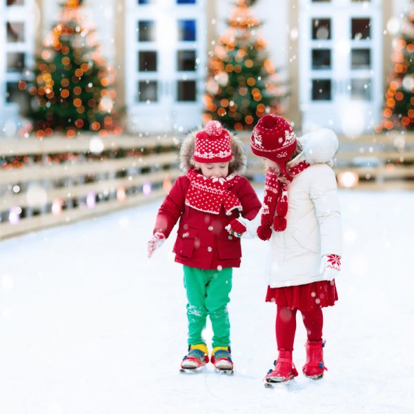 Private Ice Rinks - Image 1