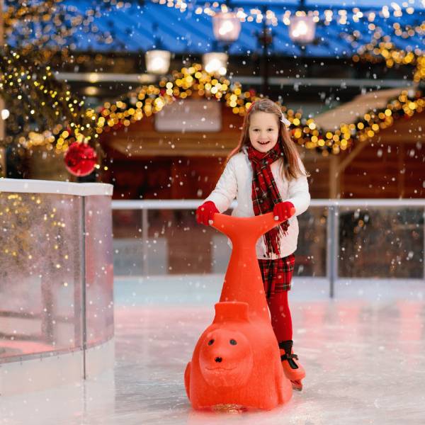 Private Ice Rinks - Image 4